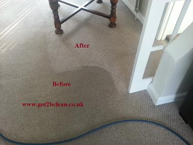 carpet cleaning Sunderland